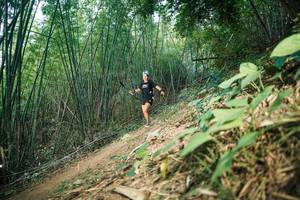 BIB: 
                            <button type="button" onclick="openModal(28141374)" class="btn btn-primary btn-sm float-right btn-popup" data-toggle="modal" data-target=".modal-high-quality">
                        <i class="fas fa-shopping-cart"></i> Add to Cart
                    </button>
                                            <button type="button" onclick="isThisMe(28141374, true)" class="btn btn-success btn-sm float-right btn-popup btn-isme hidden" data-toggle="tooltip" data-placement="bottom" title="นี่คือรูปของคุณใช่ไหม คลิกที่นี่เพื่อเอาเข้าอัลบั้ม">
                        <i class="fas fa-plus"></i> Add to album
                    </button>
                    <button type="button" onclick="isThisMe(28141374, false)" class="btn btn-warning btn-sm float-right btn-popup btn-isnotme hidden">
                        <i class="fas fa-ban"></i> Remove from album
                    </button>